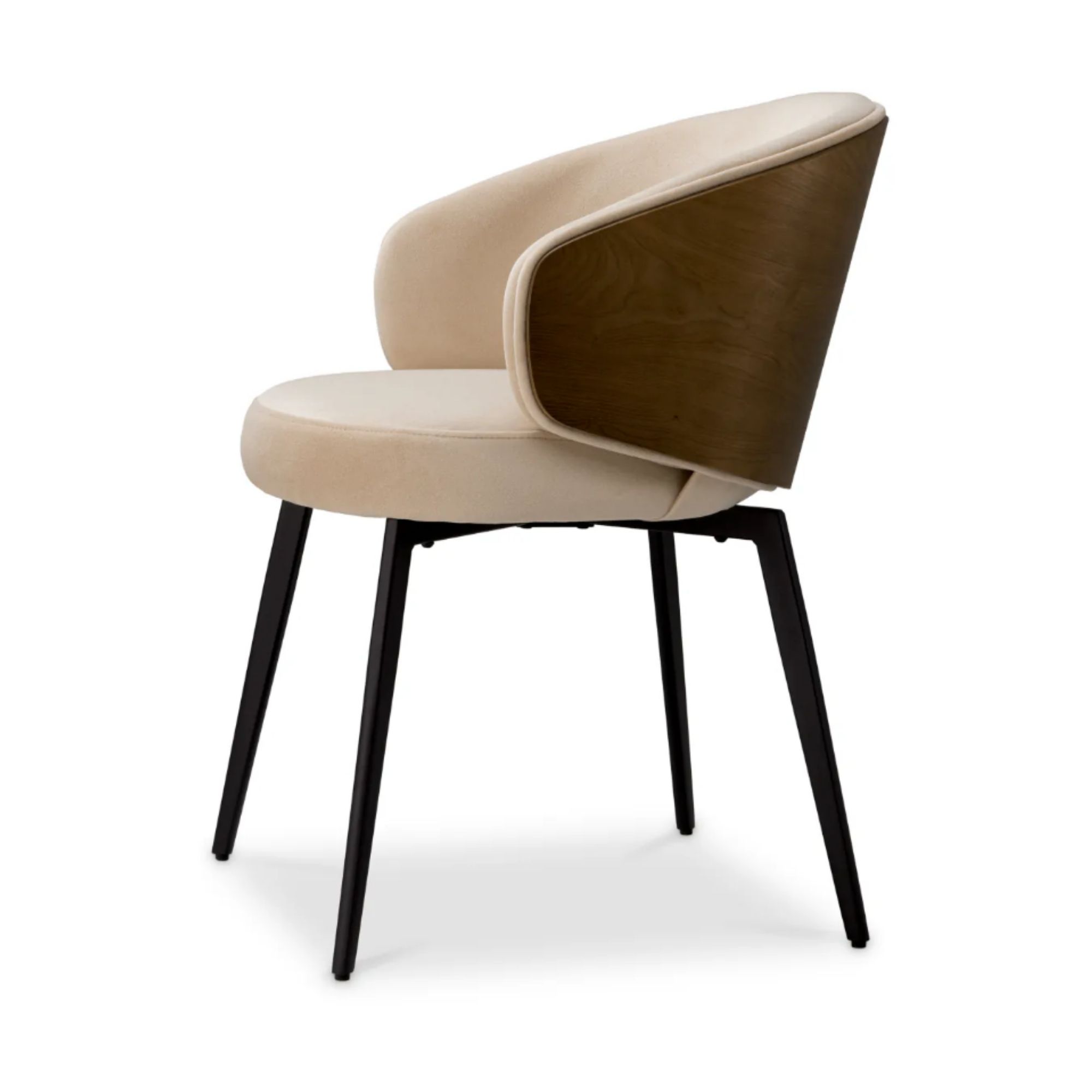 Camerota Dining Chair